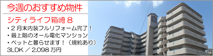 シティライフ箱崎8